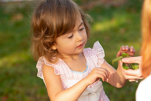 The gift of wonder